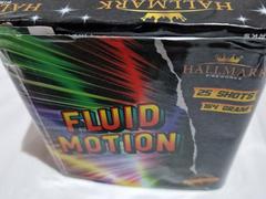 Fluid Motion