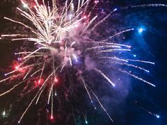 Buy Garden Fireworks Online